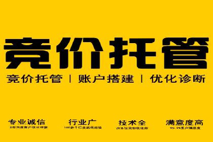 案例解析：竞价托管助力企业品牌知名度提升